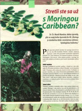 Liečiteľ 10/2015: Stretli ste sa už s Moringou Caribbean?