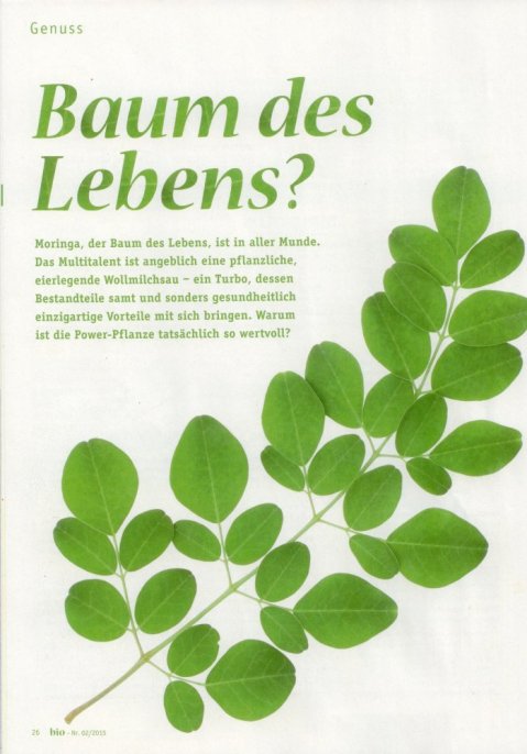 Preklad článku z originálu "Baum des Lebens?"